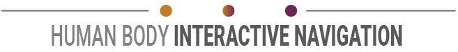Human Body Interactive Navigation