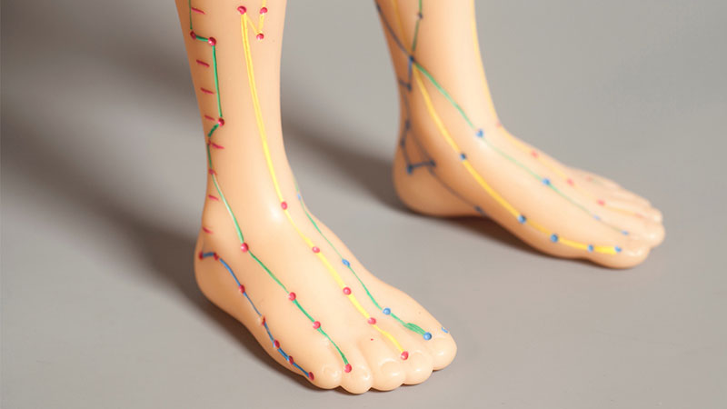 Acupuncture points feet