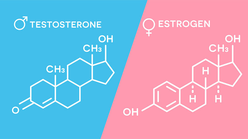 Hormones