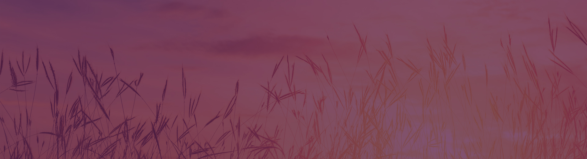 HIPPA Header